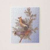 Audubon Cedar Waxwing Bird op Evergreen Juniper Legpuzzel (Verticaal)