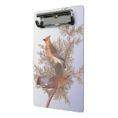 Audubon Cedar Waxwing Bird op Evergreen Juniper Mini Klembord (Angled2)