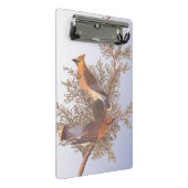 Audubon Cedar Waxwing Bird op Evergreen Juniper Mini Klembord (Schuin)