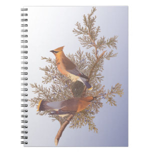 Audubon Cedar Waxwing Bird op Evergreen Juniper Notitieboek