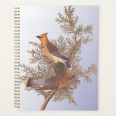 Audubon Cedar Waxwing Bird op Evergreen Juniper Planner (Voorkant)