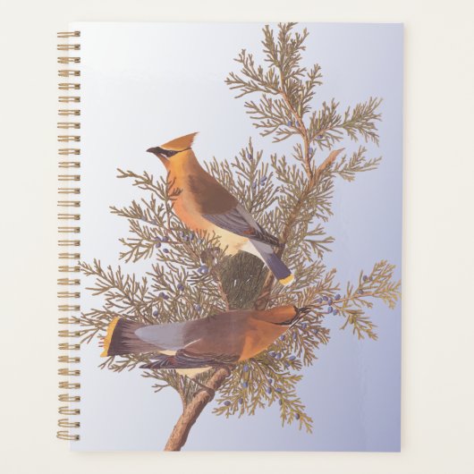 Audubon Cedar Waxwing Bird op Evergreen Juniper Planner (Voorkant)