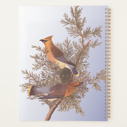 Audubon Cedar Waxwing Bird op Evergreen Juniper Planner (Achterkant)