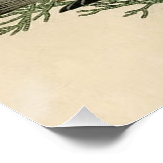 Audubon Cedar Waxwing Bird Perfect Poster (Hoek)