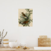 Audubon Cedar Waxwing Bird Poster (Keuken)