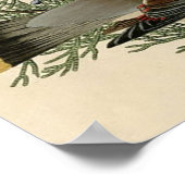 Audubon Cedar Waxwing Bird Poster (Hoek)
