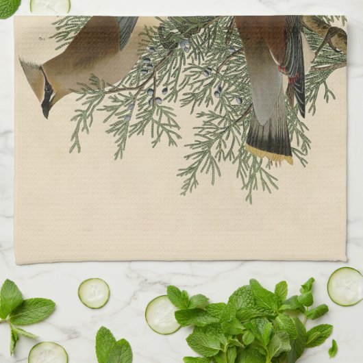 Audubon Cedar Waxwing Bird Theedoek (Gevouwen)