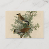 Audubon Cedar Waxwing Bird Visitekaartje (Achterkant)