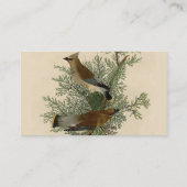 Audubon Cedar Waxwing Bird Visitekaartje (Achterkant)