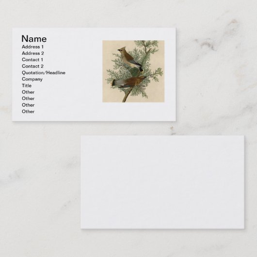 Audubon Cedar Waxwing Bird Visitekaartje (Voorkant / Achterkant)