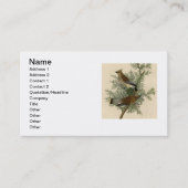 Audubon Cedar Waxwing Bird Visitekaartje (Voorkant)