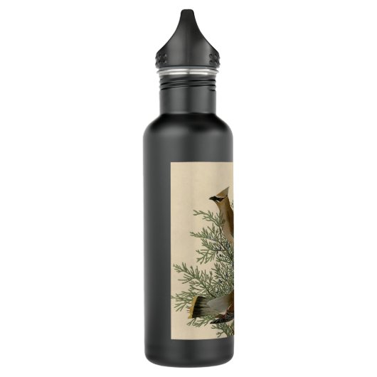 Audubon Cedar Waxwing Bird Waterfles (Links)