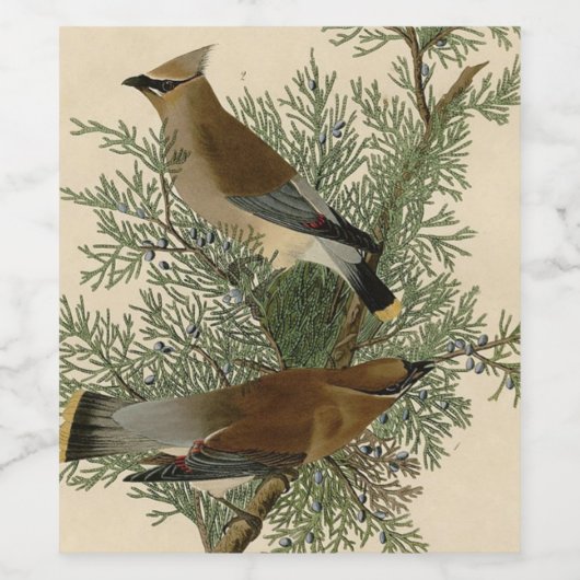Audubon Cedar Waxwing Bird Wijn Etiket (Enkel label)