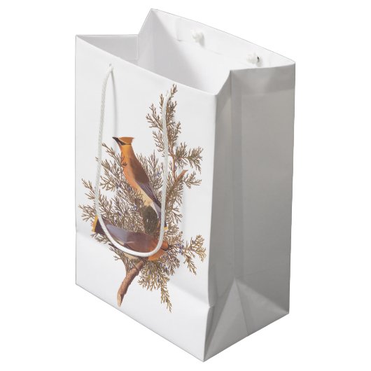 Audubon Cedar Waxwing Songbird in Juniper Medium Cadeauzakje (Voorkant Gekanteld)
