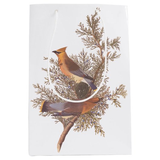 Audubon Cedar Waxwing Songbird in Juniper Medium Cadeauzakje (Voorkant)