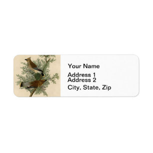 Audubon Cederpestvogel Etiket