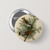 Audubon Cedersijgstaart Ronde Button 5,7 Cm (Voorkant /achterkant)