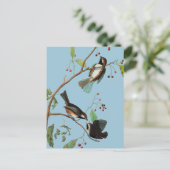 Audubon: Chickadee Briefkaart (Staand voorkant)