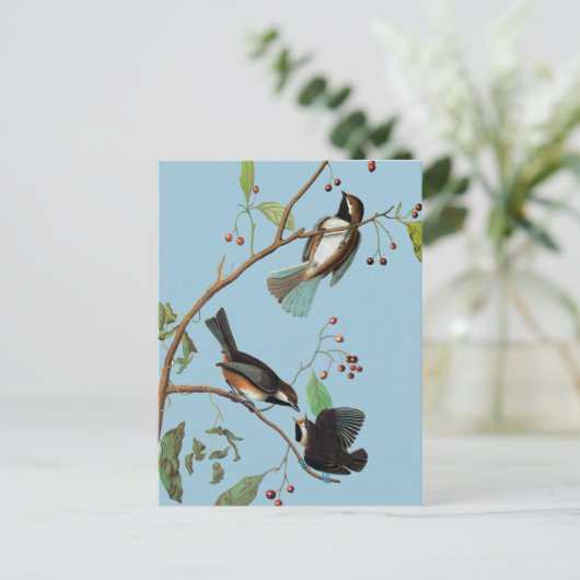 Audubon: Chickadee Briefkaart (Staand voorkant)