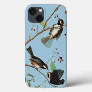 Audubon: Chickadee iPhone 13 Hoesje