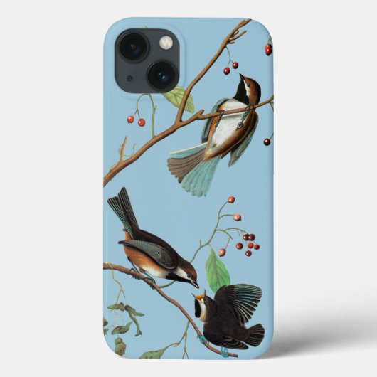 Audubon: Chickadee Case-Mate iPhone Case (Achterkant)