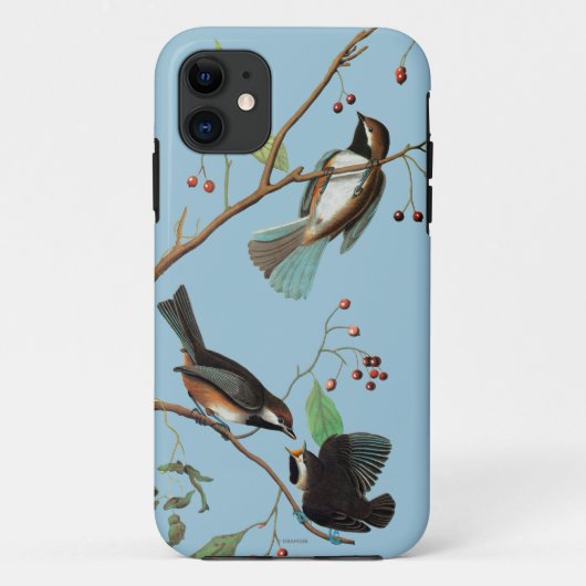 Audubon: Chickadee Case-Mate iPhone Case (Achterkant)