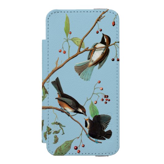 Audubon: Chickadee Incipio iPhone Portemonnee Hoesje (Voorkant Agenda)
