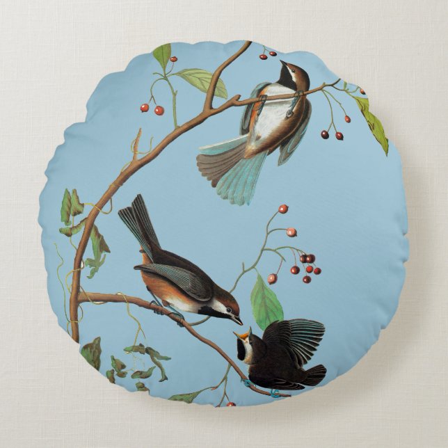 Audubon: Chickadee Rond Kussen (Voorkant)