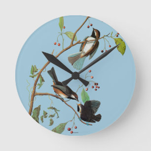 Audubon: Chickadee Ronde Klok