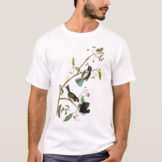 Audubon: Chickadee T-shirt (Voorkant)