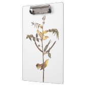 Audubon Children's Warbler Songbird Klembord (Links)