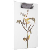 Audubon Children's Warbler Songbird Klembord (Rechts)