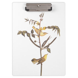 Audubon Children's Warbler Songbird Klembord