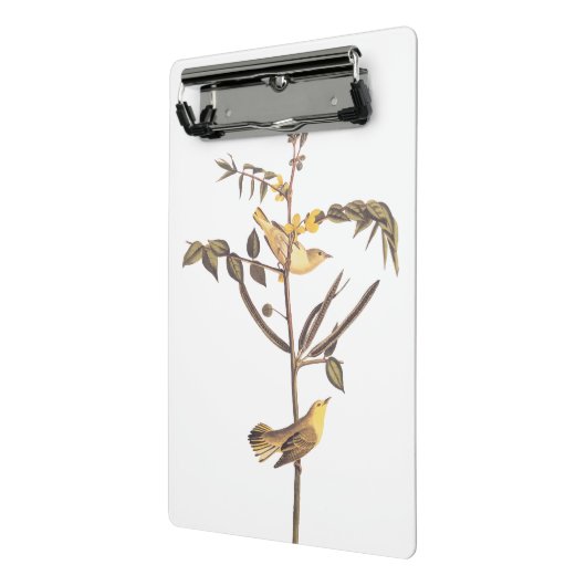 Audubon Children's Warbler Songbird Mini Klembord (Angled2)