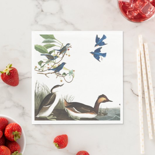 Audubon Collage Birds Wildlife Papier servetten (Insitu)