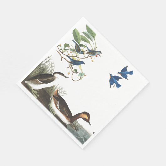 Audubon Collage Birds Wildlife Papier servetten (Hoek)