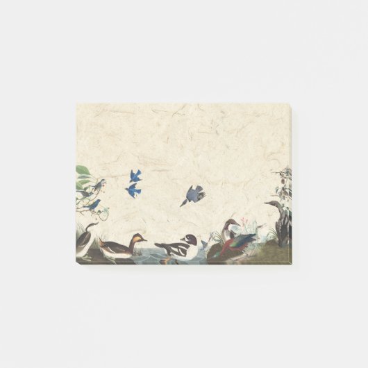 Audubon collage van vogels Wildlife Post Post-it® Notes (Voorkant)