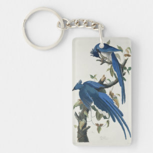 Audubon Columbia Jay Black Throated Magpie Jay Sleutelhanger