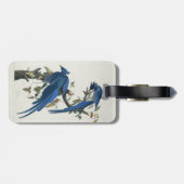 Audubon Columbia Jay zwart keel ekster Jay Bagagelabel (Achterkant horizontaal)