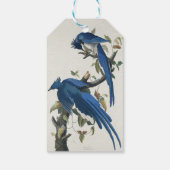 Audubon Columbia Jay zwart keel ekster Jay Cadeaulabel (Achterkant)