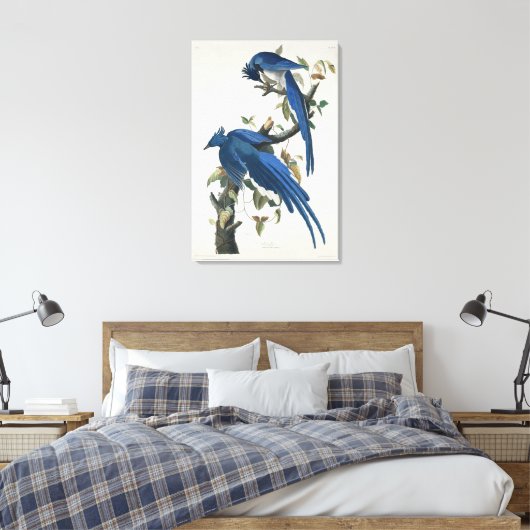 Audubon Columbia Jay zwart keel ekster Jay Canvas Afdruk (Insitu (Slaapkamer))