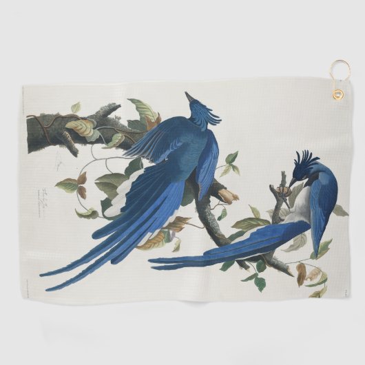 Audubon Columbia Jay zwart keel ekster Jay Golfhanddoek (Horizontaal)
