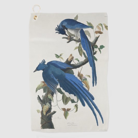 Audubon Columbia Jay zwart keel ekster Jay Golfhanddoek (Voorkant)