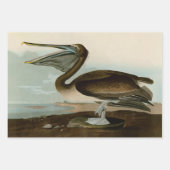 Audubon Columbia Jay zwart keel ekster Jay Inpakpapier Vel (Voorkant 2)