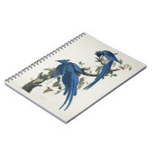 Audubon Columbia Jay zwart keel ekster Jay Notitieboek (Linkerzijde)