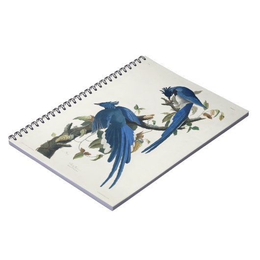 Audubon Columbia Jay zwart keel ekster Jay Notitieboek (Linkerzijde)