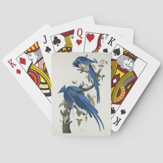 Audubon Columbia Jay zwart keel ekster Jay Pokerkaarten (Achterkant)