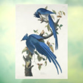 Audubon Columbia Jay zwart keel ekster Jay Raamsticker (Vel 3)