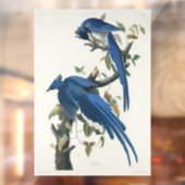 Audubon Columbia Jay zwart keel ekster Jay Raamsticker (Vel 2)