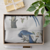 Audubon Columbia Jay zwart keel ekster Jay Tissuepapier (Geschenk)